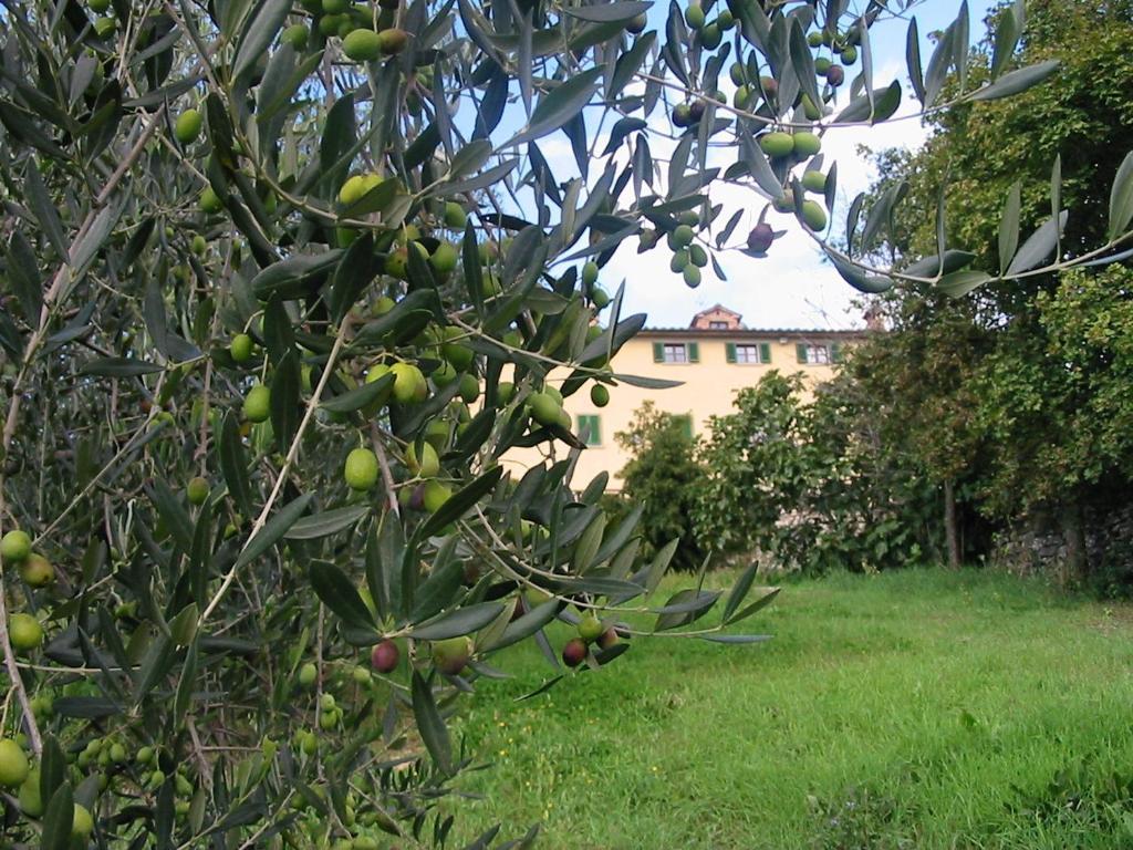 Hotel Relais Palazzo Di Luglio Sansepolcro Luaran gambar